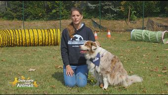 Vita in città con i nostri cani: i consigli dell'educatrice